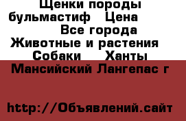 Щенки породы бульмастиф › Цена ­ 25 000 - Все города Животные и растения » Собаки   . Ханты-Мансийский,Лангепас г.